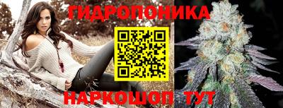 мдпв Обь