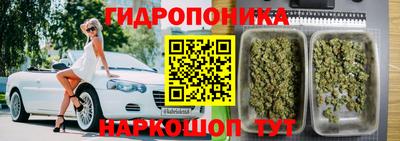 сатива Обнинск