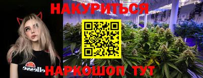 мдпв Обь