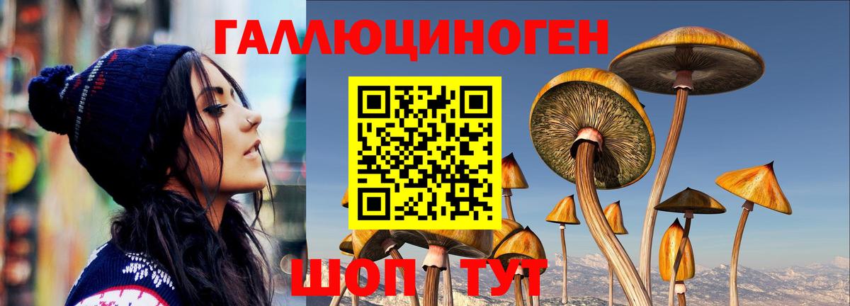 Псилоцибиновые грибы мицелий Туапсе